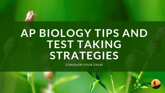 AP Biology Tips and Test Taking Strategies
