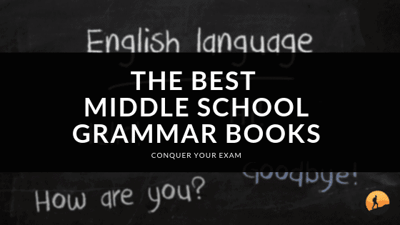 The Best Middle School Grammar Books of 2024