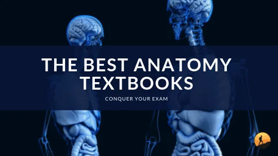 The Best Anatomy Textbooks of 2024