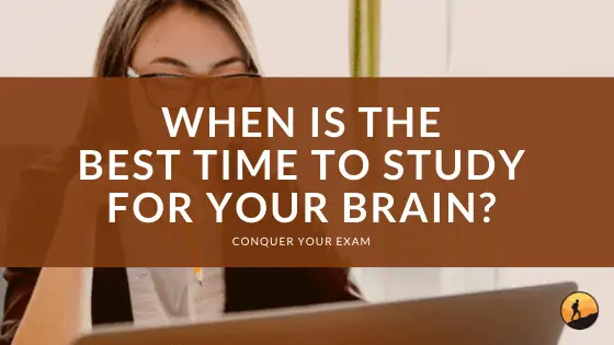 When Is the Best Time to Study For Your Brain?