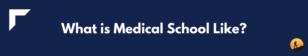 What is Medical School Like?