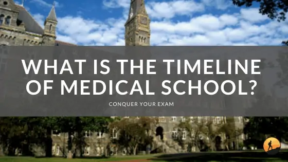 What is the Timeline of Medical School?