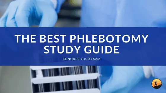 The Best Phlebotomy Study Guide of 2024