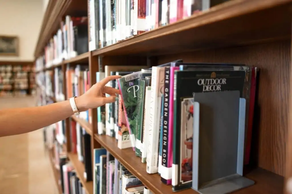 What Classes are Offered for IB Individuals and Societies?
