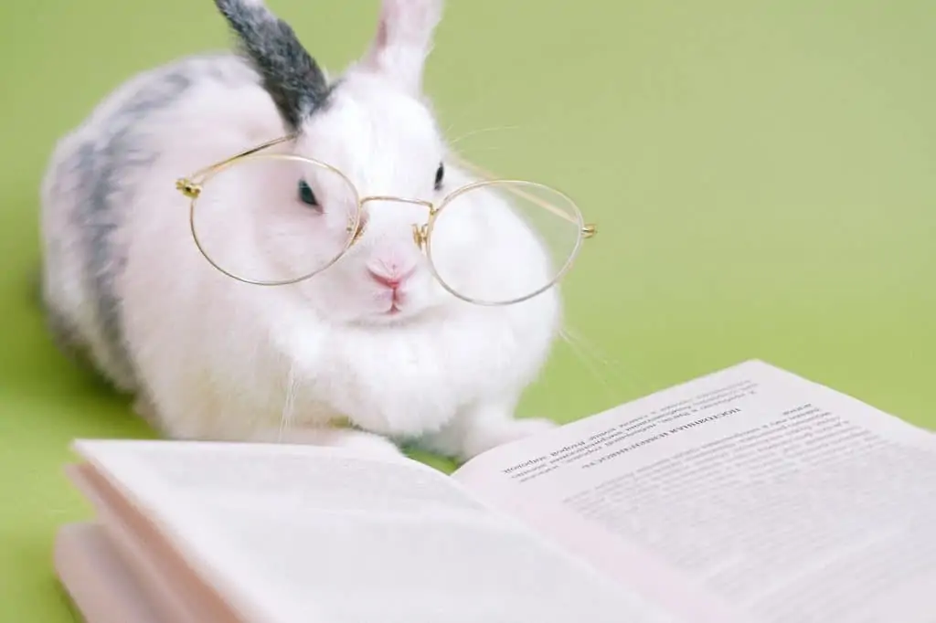 What Does Research Say About Cramming?