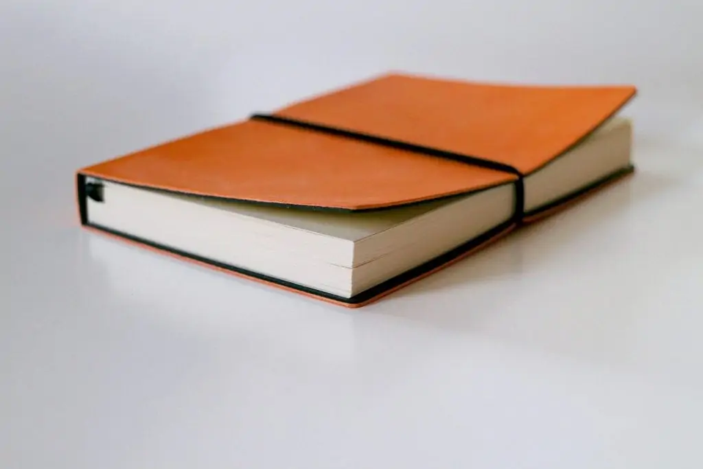 What Makes an Effective Thesis?