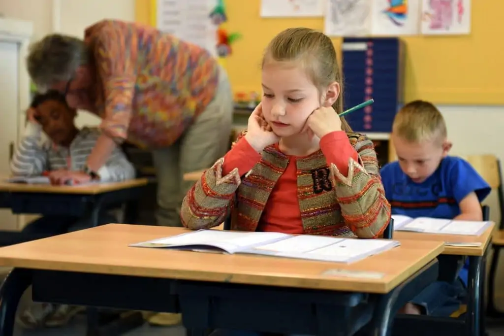 What are Advantages and Disadvantages of Conceptual Learning?
