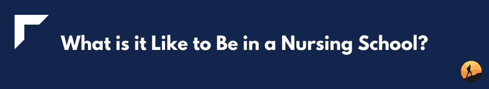 What is it Like to Be in a Nursing School?