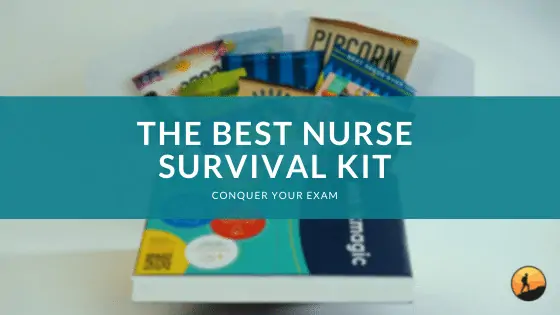 The Best Nurse Survival Kit of 2024