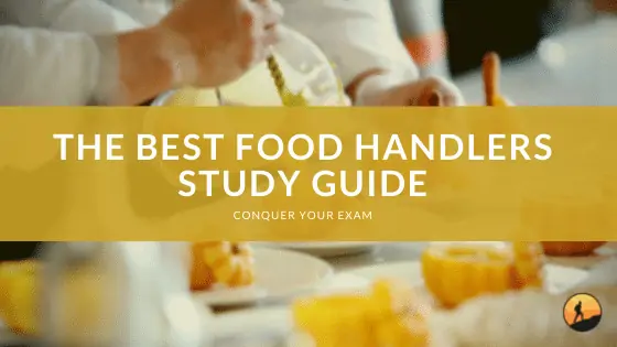The Best Food Handlers Study Guide of 2024