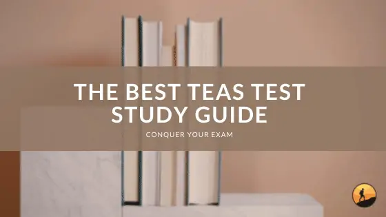 The Best TEAS Test Study Guide of 2024