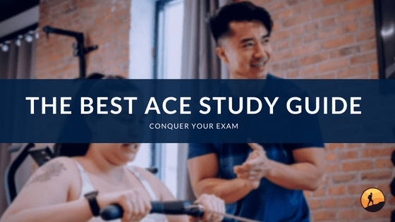 The Best ACE Study Guide of 2024
