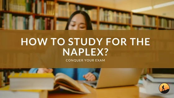 How to Study for the NAPLEX?