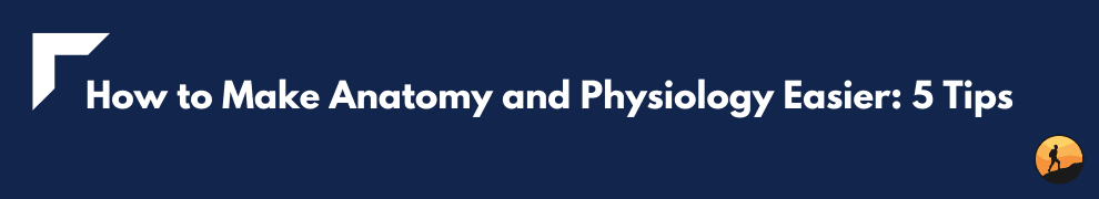 How to Make Anatomy and Physiology Easier: 5 Tips