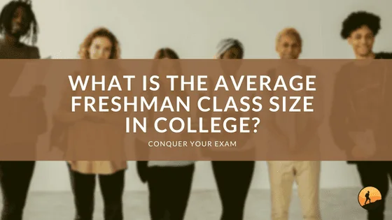 What is the Average Freshman Class Size in College?